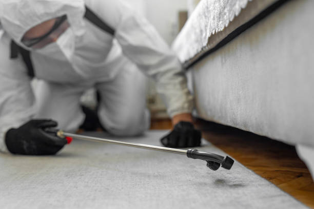 Professional Bed Bug Control technician working in St. Mary Parish County, LA